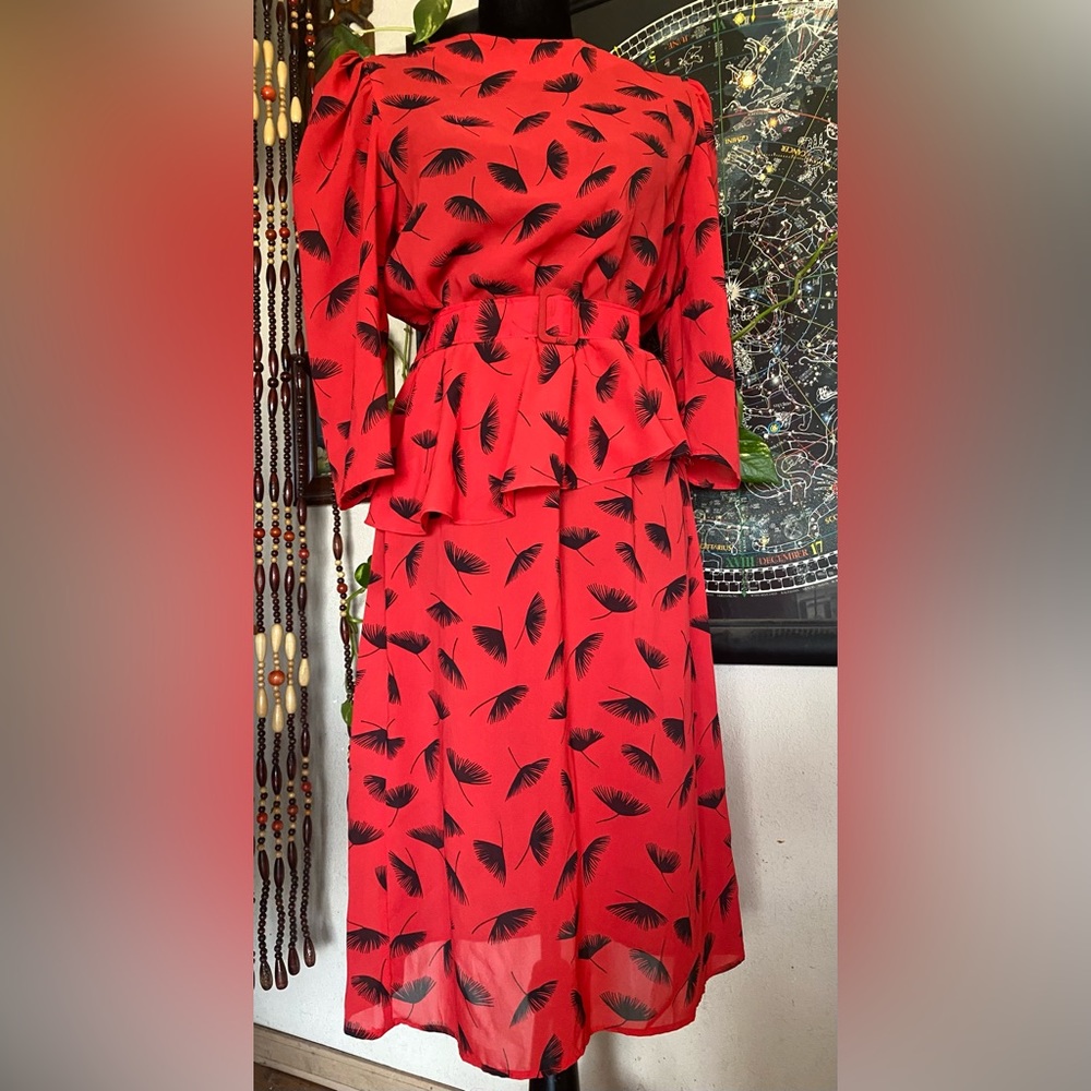 Vintage Walden Classics sheer Dandelion Seed Dress with Belt! Size 8! USA.